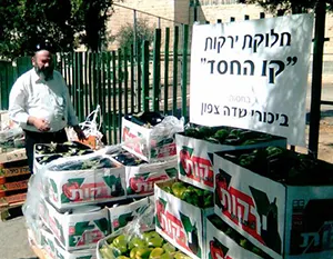 קו למשפחה - חלוקת סלי מזון